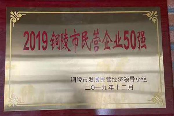 2019铜陵市民营企业50强